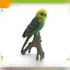 Childrens Parrot Model Pvc Growth Cycle Educational Bird Display For Kids