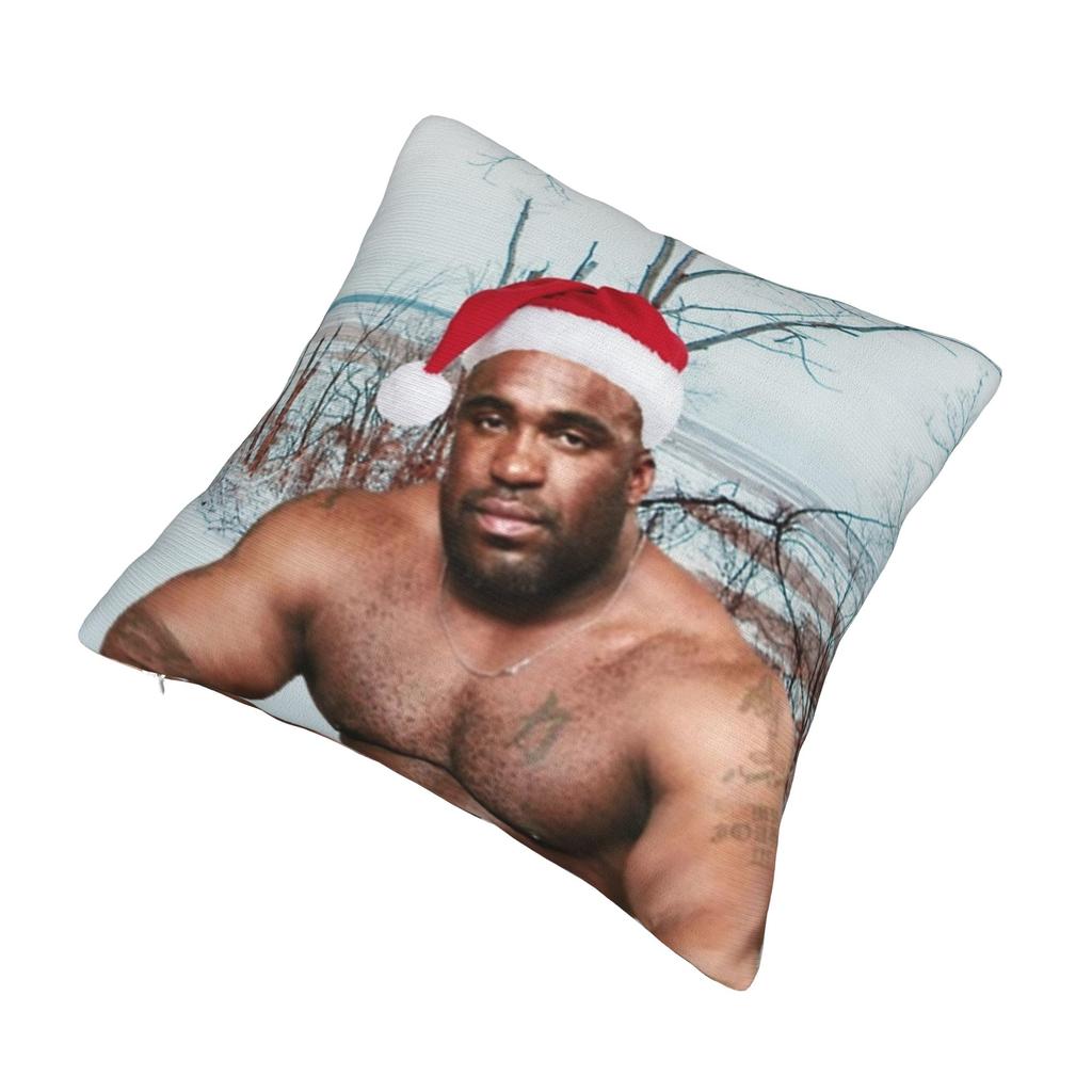 Decorative Pillow Cover Funny Barry Wood Meme Christmas Accessories Car Pillow Case Cover Zippered Multiple Sizes