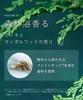 [New Model] BOTANIST Foaming Body Soap Moist