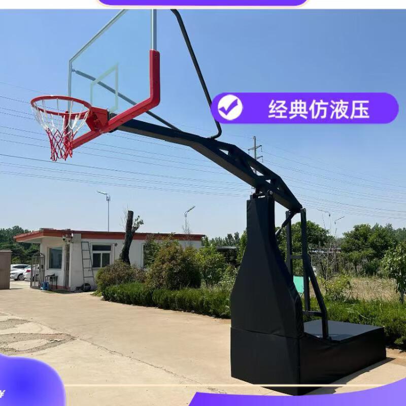 WEZHO Outdoor Mobile & Fixed Basketball Hoop