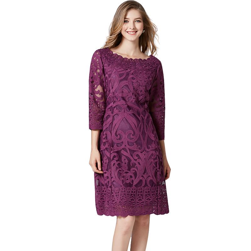 Versatile Plus Size Lace Embroidery Dress for Spring & Autumn