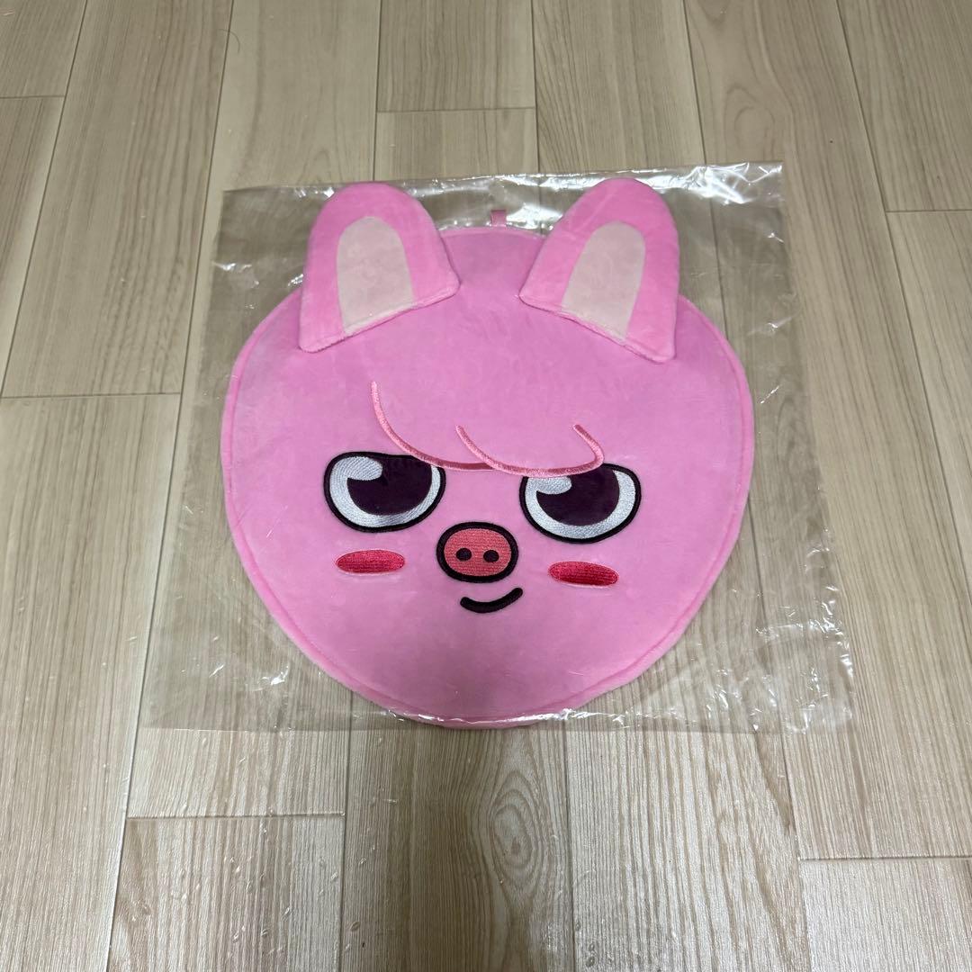 

[Б/У] Чехол-вентилятор Stray Kids Toekki