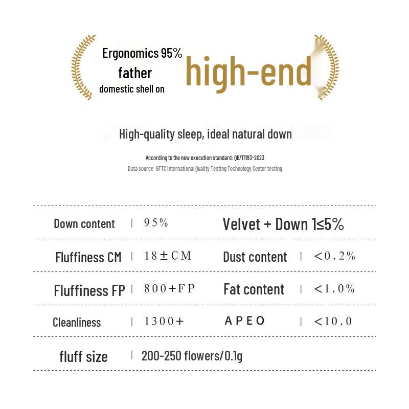 Interlagos Ergonomic 95% White Goose Down Duvet (Japanese Import)