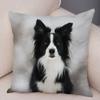 Printed Pet Animal Cushion Cover Scotland Border Collie Soft Plush Pillowcase Decor Cute Dog Pillow Case for Sofa Car