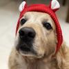 Pet Hat Winter Labrador Golden Retriever Funny Headgear Warm Cute Puppy Hat