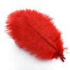 10Pcs Ostrich Feathers Decorative Vase Pluma Wedding Table Centerpieces Carnival Accessories DIY Creative Leisure Craft Supplies