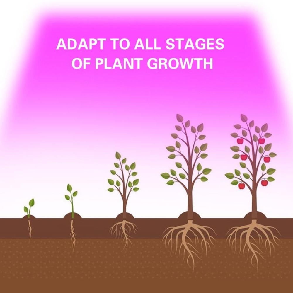 LED Chip Matrix Solderless AC 220V  High Power 20W 30W 50W COB Chip LED Lamp No Need Driver for Flood Light Spotlight Outdoor DIY Lighting