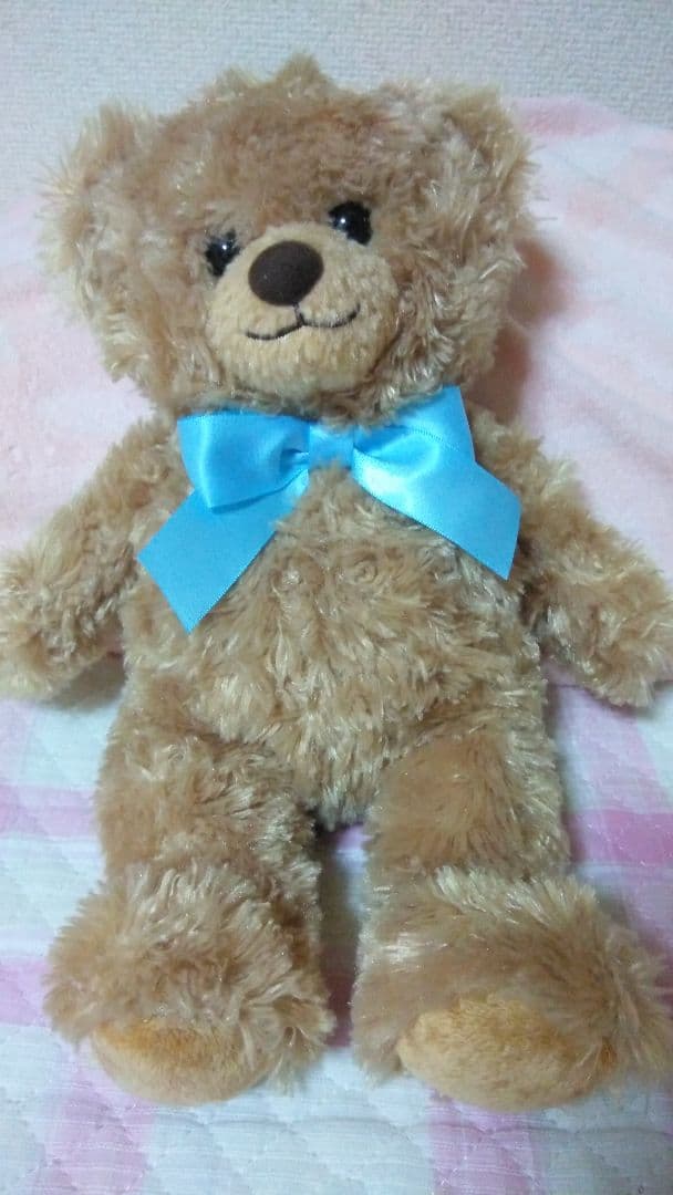 

[USED] Teddy Bear