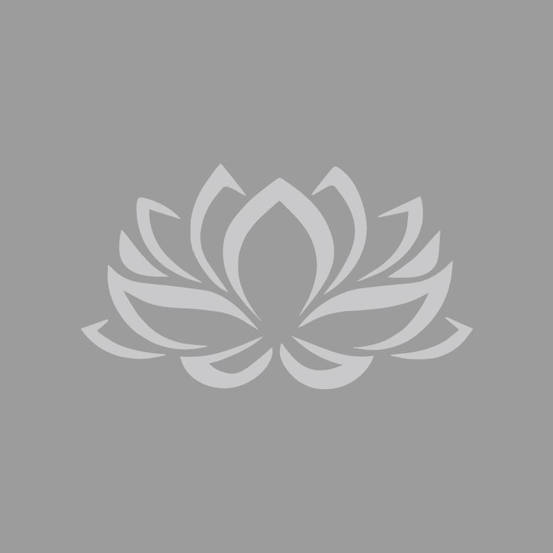 Blessing Lotus Blooming Decals & Bumper Creative&funny Stickers for Cartoon Fans&lover,high Quality for Car Trucks Motorcycles