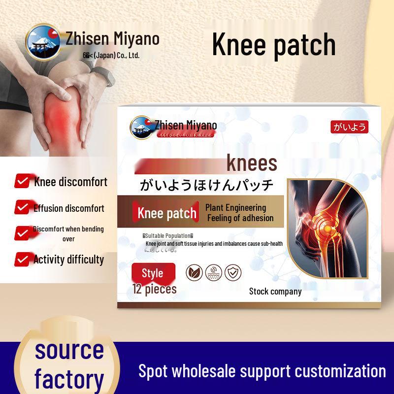 ZhisenmeiYe Japan Knee Pain Relief Patch for Soreness and Swelling