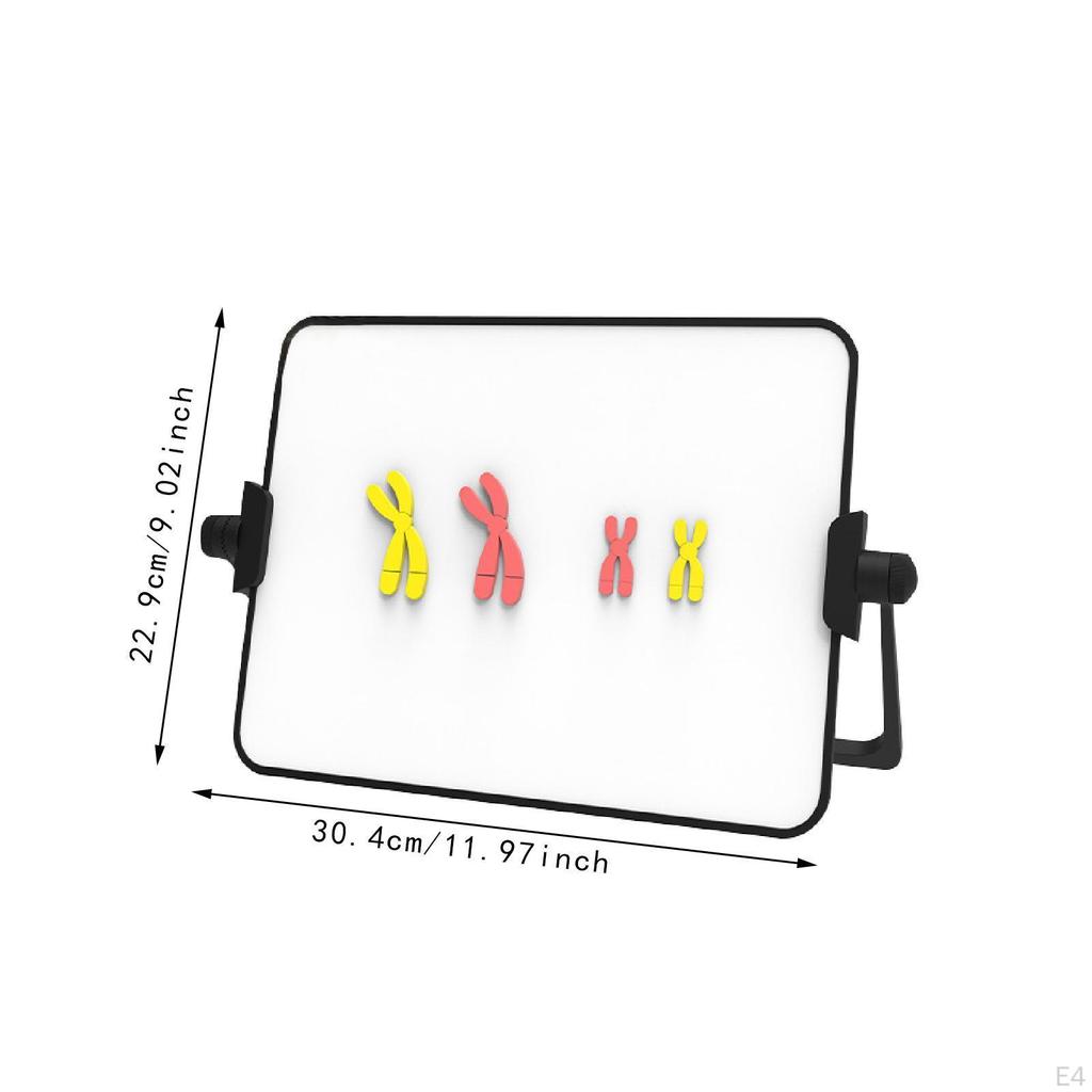 Chromosome Model Kit Educational Learning Tool Reusable Demonstration Instrument Easy to
