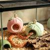 Fruit-Shaped Reptile Hide Soft Terrarium Decor Space-Saving for Snake Owners