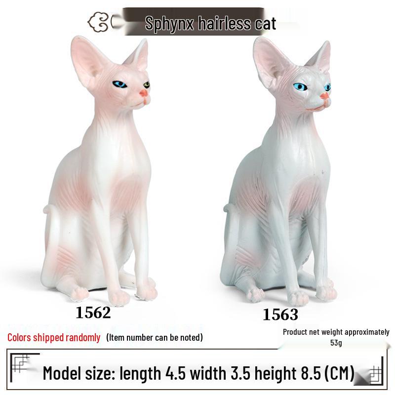 Realistic Exotic Orange Tabby Cat Heart Model Ornament