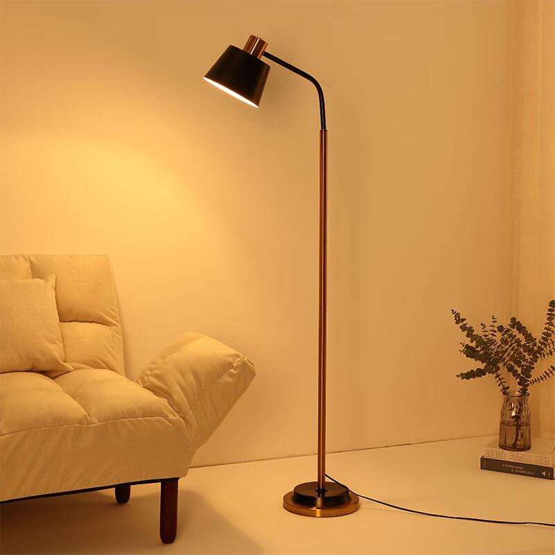 Nu Feng Modern Minimalist Floor Lamp