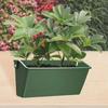 Plastic Planting Box Green Succulent Planter Bonsai Tool Seed Container  Plant