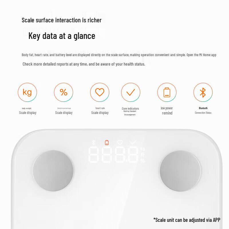 Xiaomi Smart Body Fat Scale S400