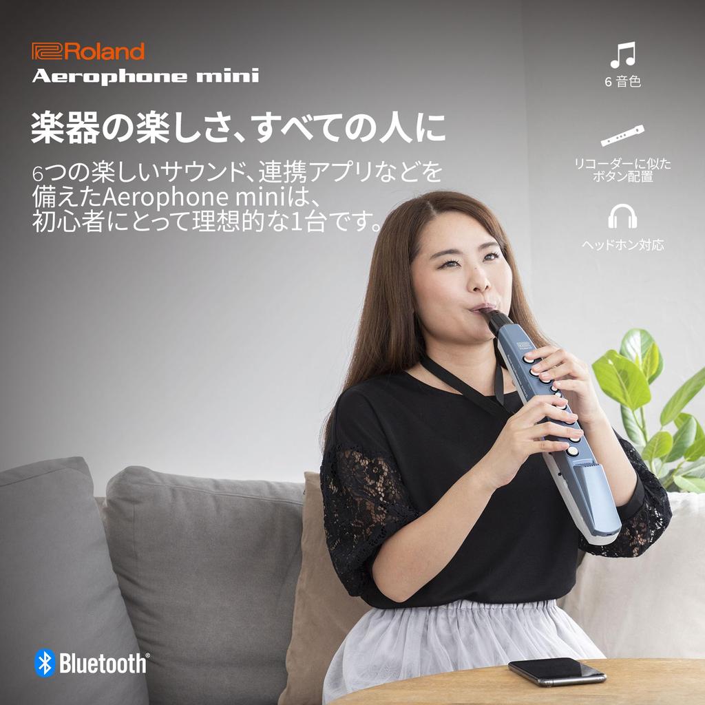 Roland AEROPHONE Digital Wind Instrument Recorder Fingering Guide Compatible AE-01 - App/Bluetooth