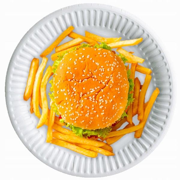 Paper Plate Disposable Ecological Catering Eco