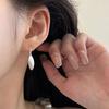 Small and Fresh Forest Three-dimensional Brushed Leaves Ear Hooks Leaves Earrings Temperament and Fashion Personality