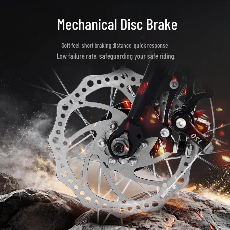 Phoenix 20-inch Folding Bike