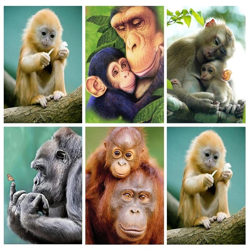 

Полный квадратный/круглый 5D Diy Алмазная вышивка Мозаика с животными Алмазная картина Обезьяна Набор для вышивки крестом Украшение дома