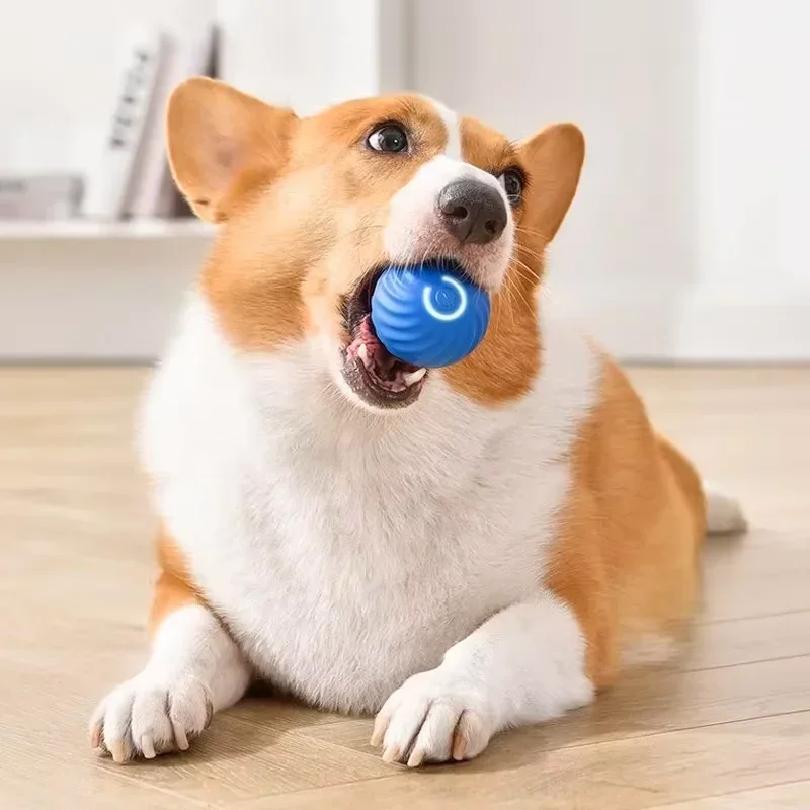 1PCS Dog Toys Intelligent Gravity Jump Ball Rechargeable Bite-Resistant Rolling Ball Cat And Dog Chase Interactive Pet Toys