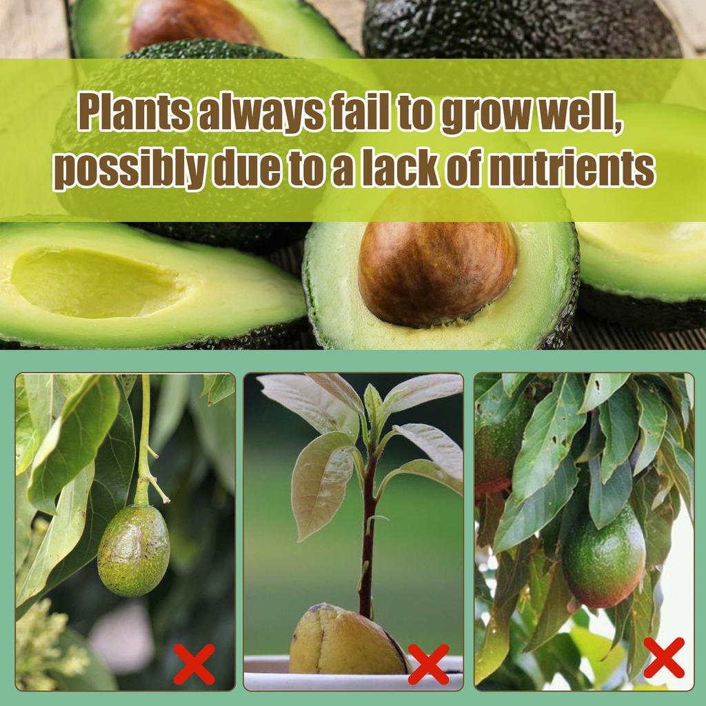 Profesionalios avokadų medžių purškiamos trąšos sodininkystei Švelnus mišrus mišrus, skirtas sveikiems lapams augti