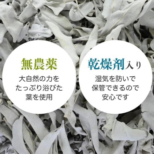 Pesticide-Free White Sage (Cluster) with Branches, Approximately 100g, from California, for Purification and Incense