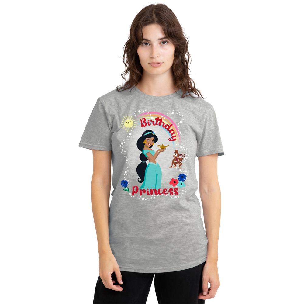 Aladdin Womens/Ladies Birthday Princess Jasmine Abu Heather T-Shirt