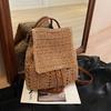 Woven straw bag women's large-capacity new spring and summer backpack casual high-end seaside beach bag