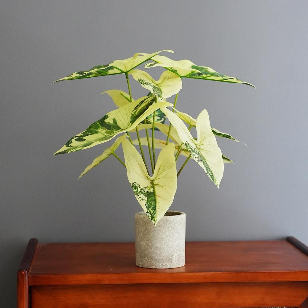 Artificial Turtle Back & Caladium Leaf Plants - Small Potted Decorations for Office, Living Room, or Coffee Table