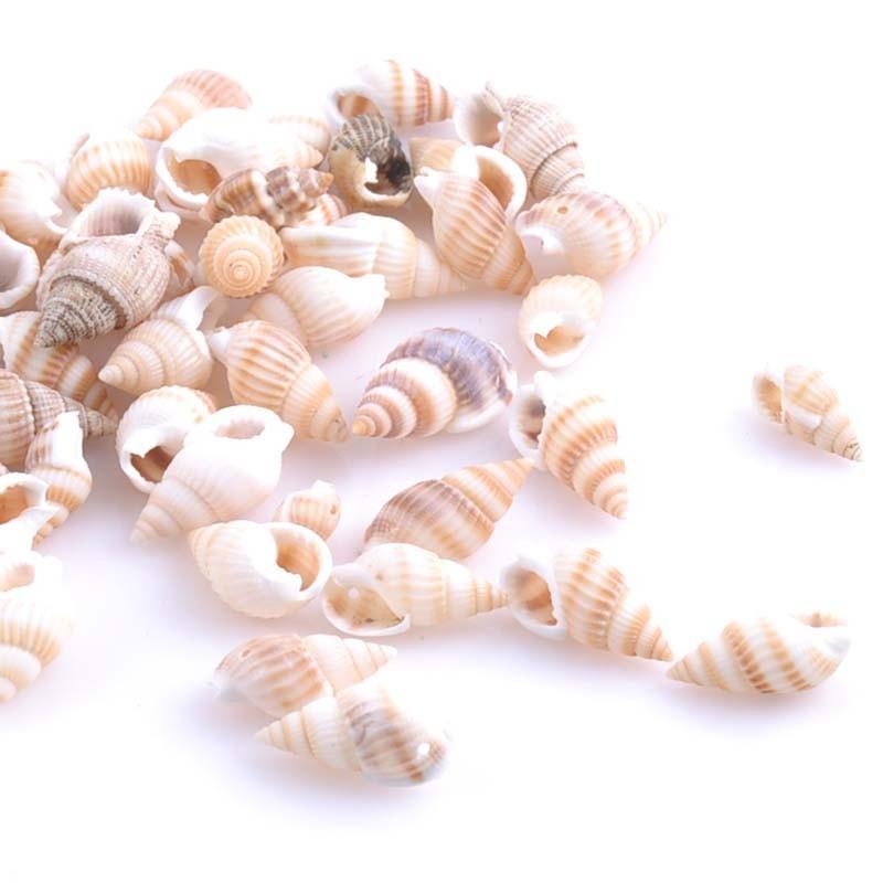 100PCS Natural Conch Shells Aquarium Decoration