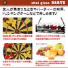 Fujibo Drink Darts Shot Set 22272