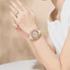 NIBOSI Woman Watch Stainless Steel Waterproof Luminous Elegant Ladies Wristwatch Luxury Diamond Dial Quartz Watch for Women