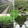 10/100PCS Garden Seedling Planting Cup Disposable Plants Nursery Pots Nutrition Bag Seed Pots Flowerpot Garden Accessories