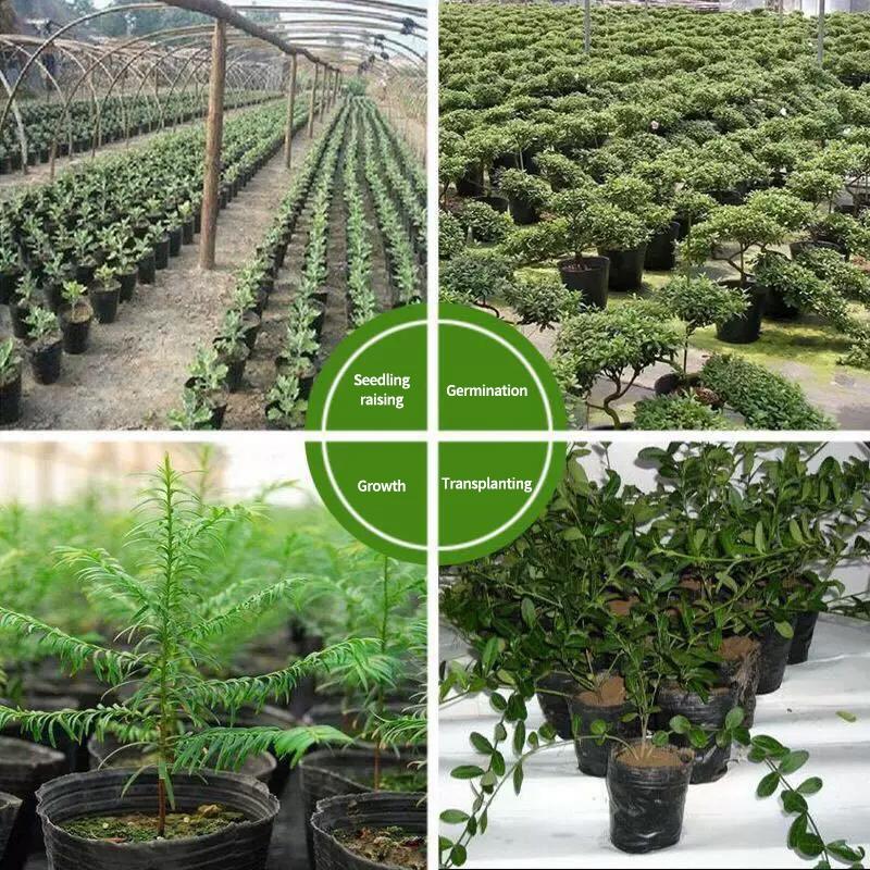 10/100PCS Garden Seedling Planting Cup Disposable Plants Nursery Pots Nutrition Bag Seed Pots Flowerpot Garden Accessories
