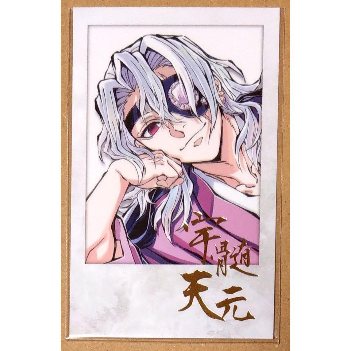 Used Demon Slayer: Kimetsu no Yaiba Usu Tengen Instax style bromide lying down