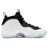 New Nike Air Foamposite Pro 3D GS 644792-102