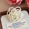 Shoe Decorations Beaded Imitation Pearl Artificial Crystal Hole Shoes Charms Decorations DIY Shoes Flower Buckle Accessories