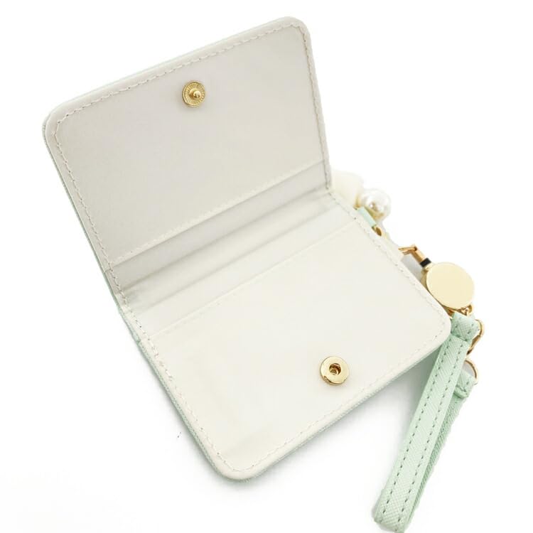 PokePeace Open Pass Case Green Pokemon