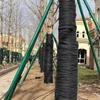 Nonwoven Tree Protector Wrap Functional Black Tree Bandage Wrap Protects Barks From Frosts And Animal Damage
