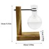 Glass Desktop Planter Bulb Vase Wooden Stand Hydroponic Plant Container Decor Living Room Office Plant Propagation Station
