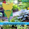 PLANTPROTECT Gelbsticker Gelbtafeln Trauermücken Insektenfalle Fruchtliegenfalle
