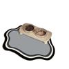 50*80cm Kat en Hond Anti-Slip Huisdiermat - Sneldrogend, Absorberend, Vloermat voor Binnen in Scandinavische Stijl, Vloer Huisdiermat, Speelse en Duurzame Huisdiermat