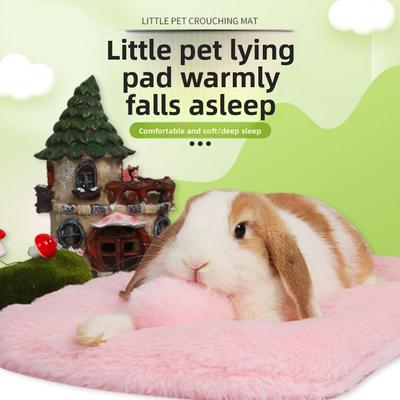 Warm Soft Guinea Pig Bed Squirrel Bed Hamster House New Rabbit Bed Mat  Winter