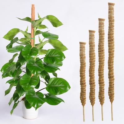 Plant Climbing Trellis Universal Good Support Bendable Handmade DIY Free Vine Coconut Palm Silk Support