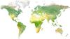 Photomural World Map Self-Adhesive Mural 208x146