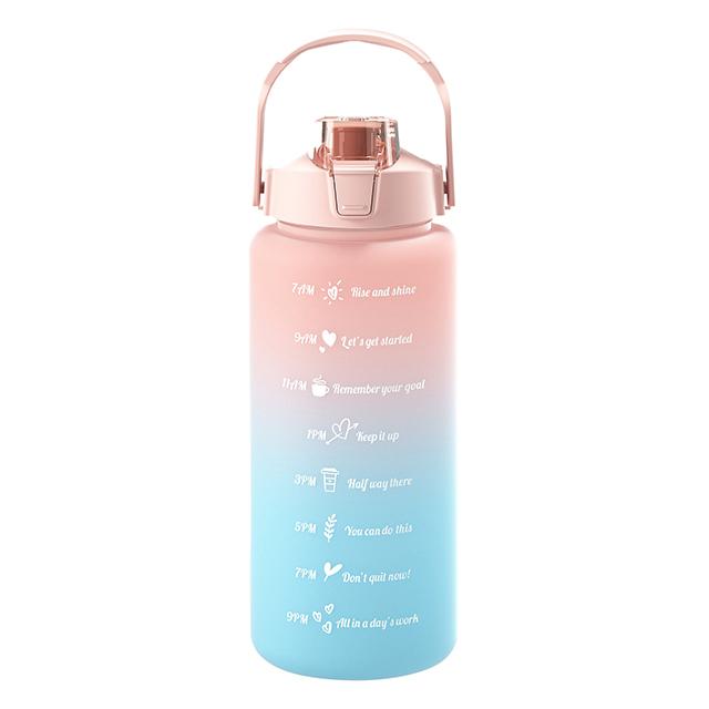 Large Capacity Sports Water Bottle With Straw Portable Handle Heat-resistant Outdoor Frosted Plastic Gradient Color Space Kettle