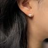 THE BORING Heart Pt Earrings_2colors
