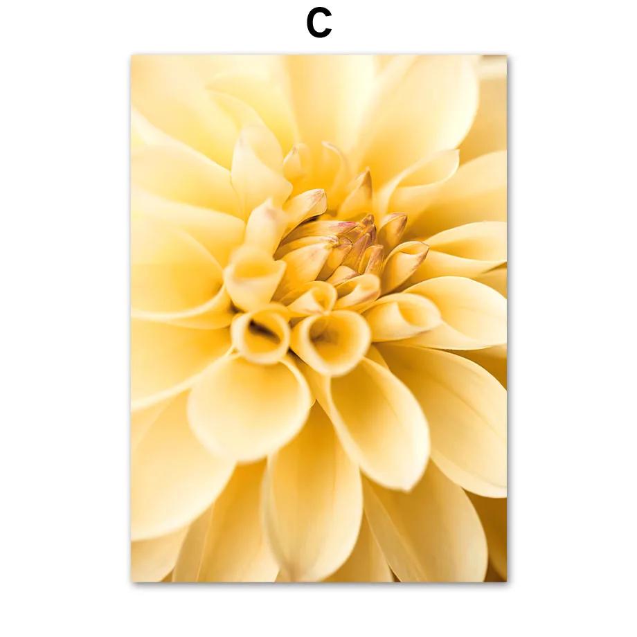 Canvas Painting Gold Sunflower Tulip Dahlia Daisy Orange Nordic Wall Art Posters and Prints Wall Pictures for Living Room Decor